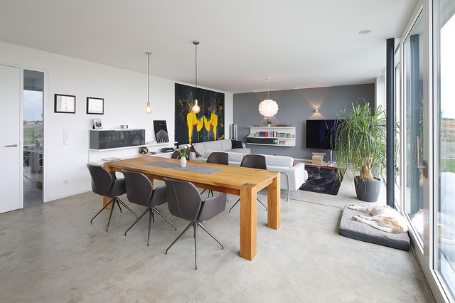 Haus Z contemporary-living-room