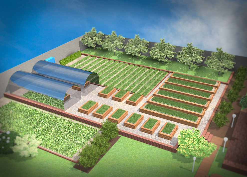 Белый ветер