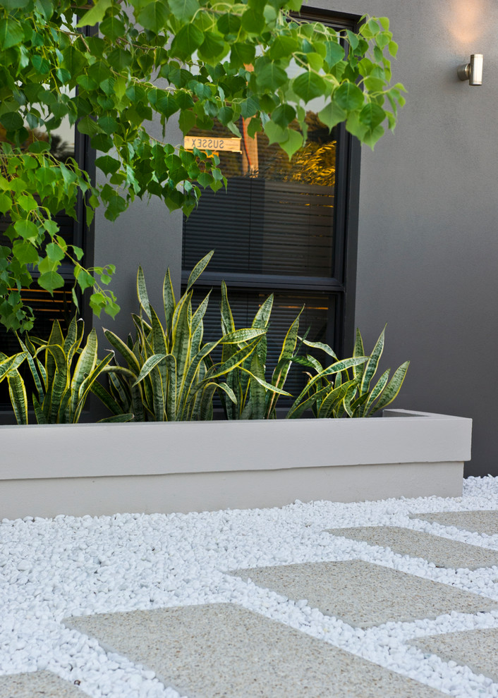 Inspiration for a contemporary front yard full sun garden in Perth with gravel.
