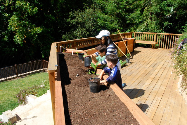 JD Garden, Hillsborough american-traditional-terrace