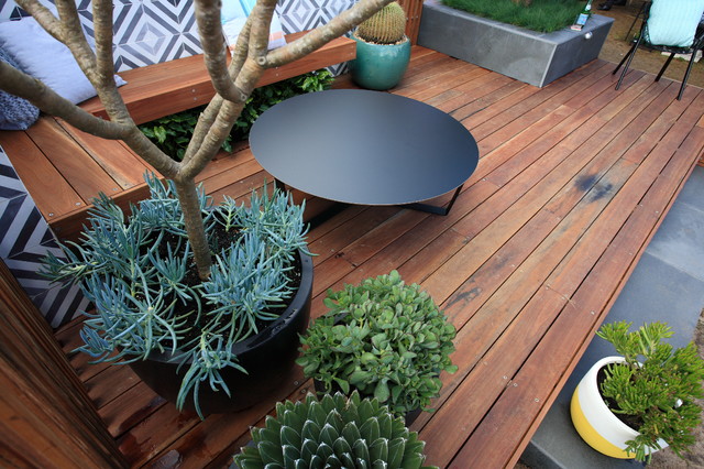 Contemporary Garden contemporary-garden