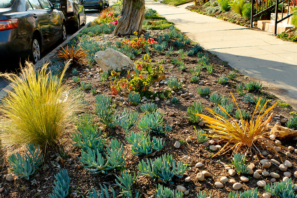Design ideas for a mid-sized contemporary front yard full sun xeriscape in Los Angeles.