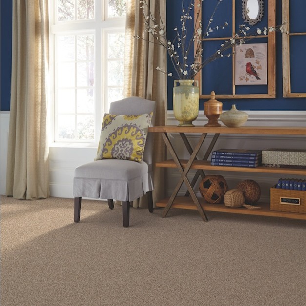 Example of a transitional carpeted dining room design with blue walls