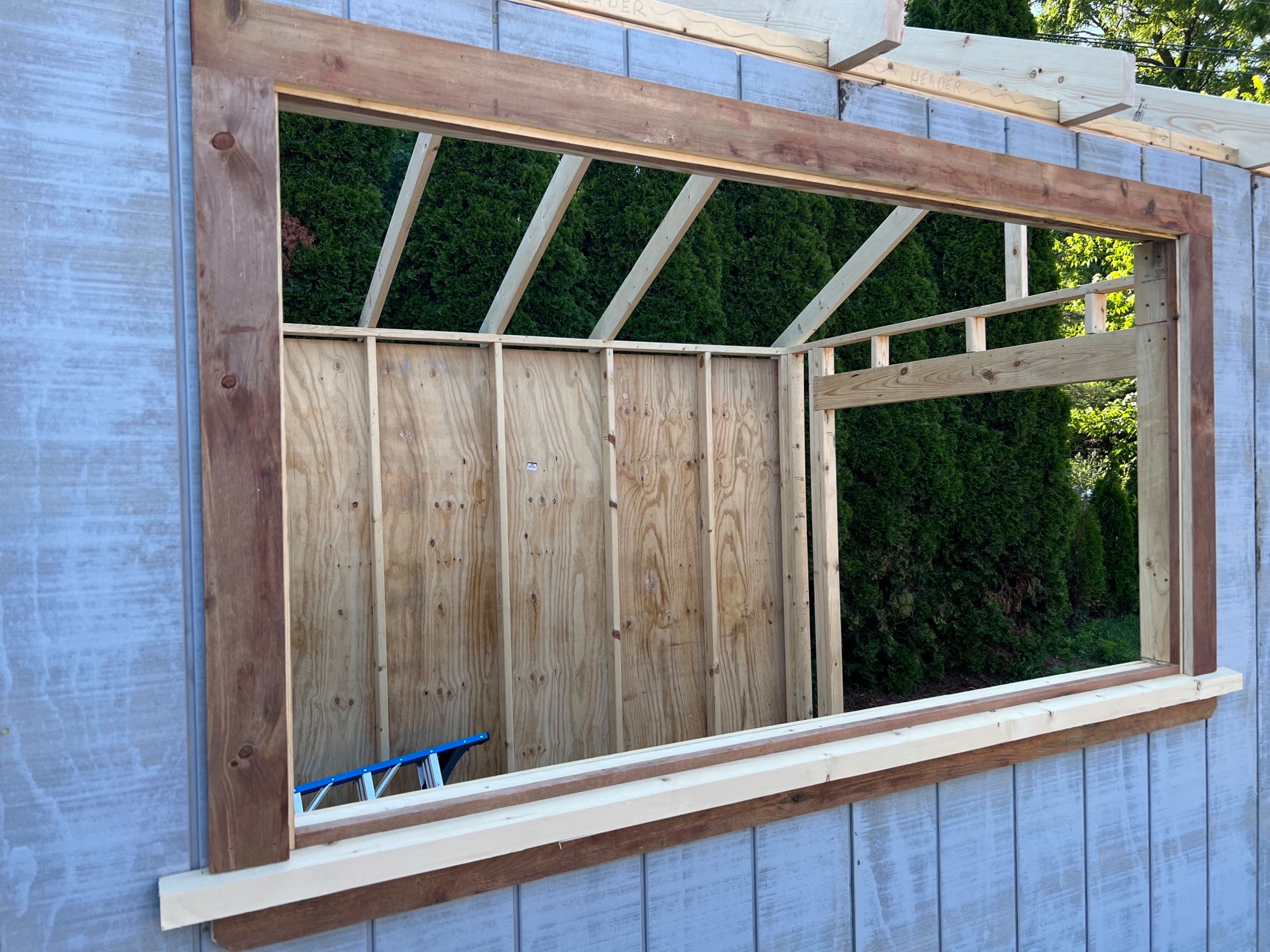 Shed