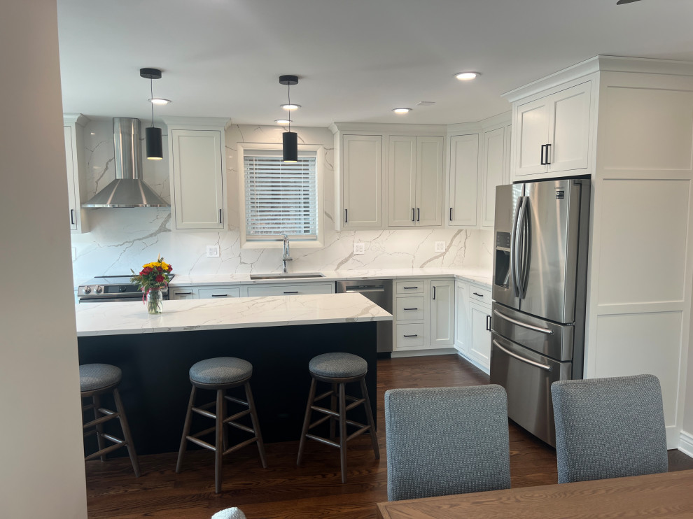 Chicago Kitchen/Dining Renovation