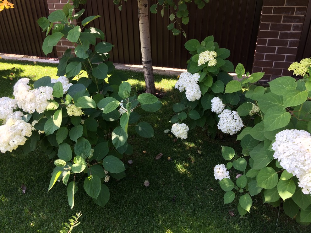 Вавиловец 1