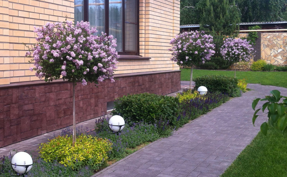 Сиреневый дождь