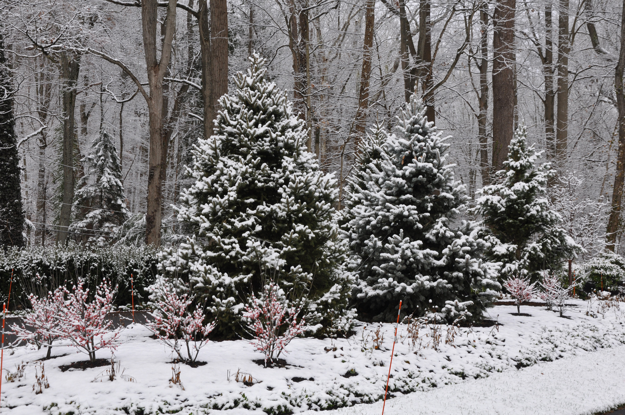 Award Winning Landscape Project - Residence in Hunting Valley, Ohio