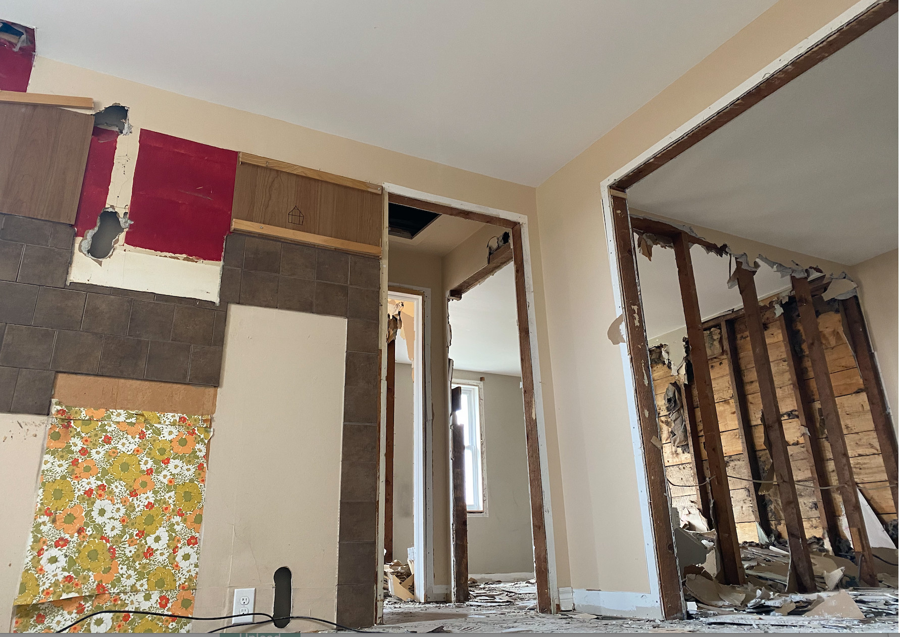 Renovation (Demo, Framing)
