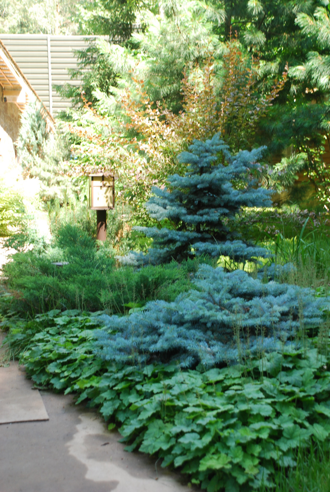 Лесной участок в КП "РИИТА"