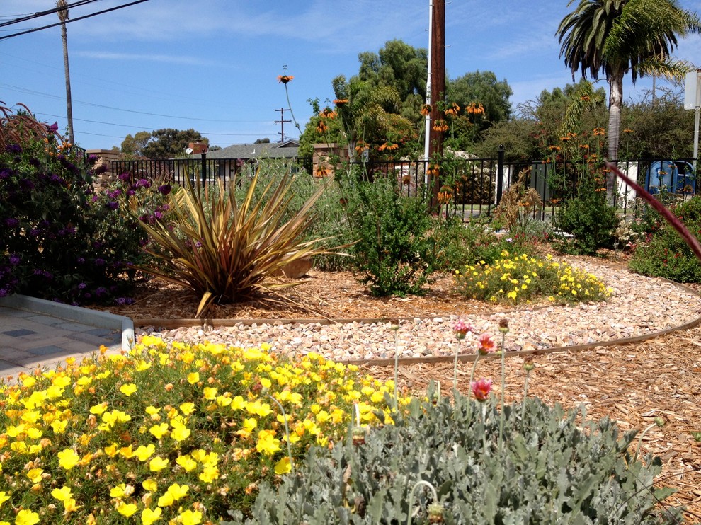 Photo of a mid-sized contemporary front yard full sun garden in San Diego with mulch.