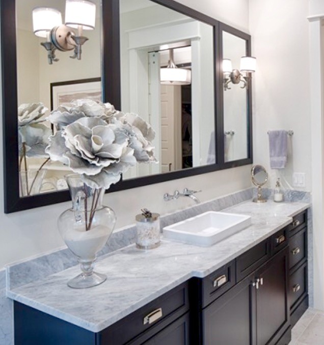 Home design - transitional home design idea in Chicago