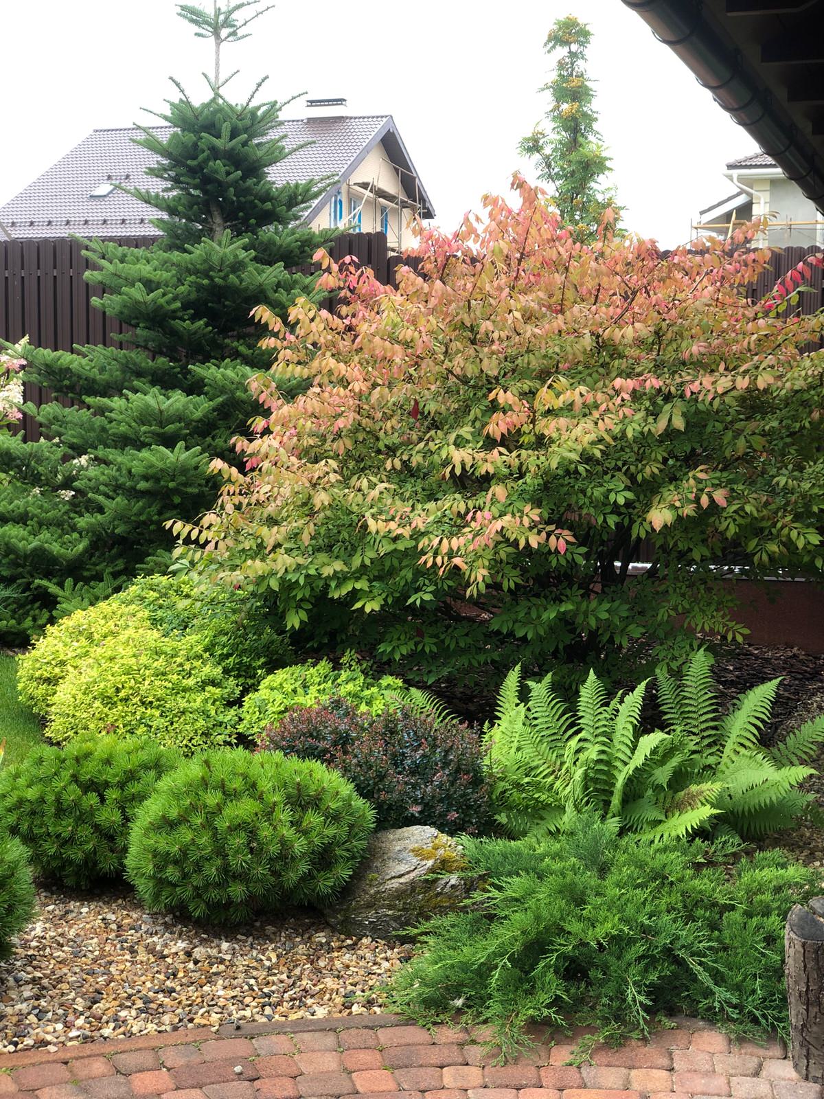 Живописный сад