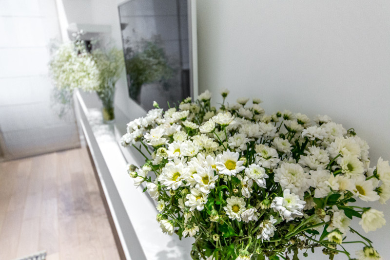 Квартирный вопрос. В греческом зале