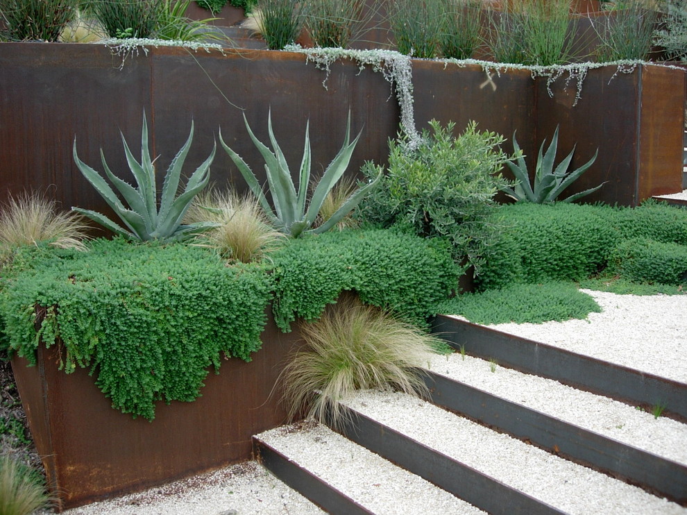 Inspiration for a modern garden in Austin with a retaining wall.