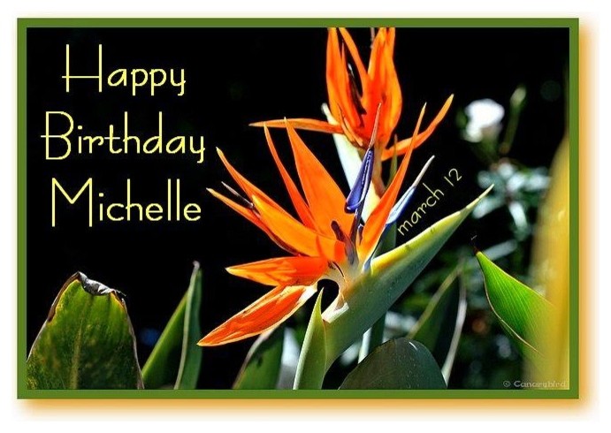 Happy Birthday Michelle msafirstein