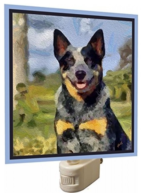 light blue heeler
