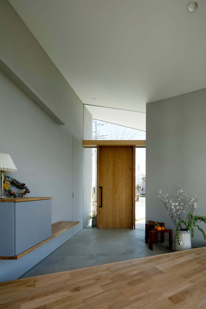 Modern entryway in Other.