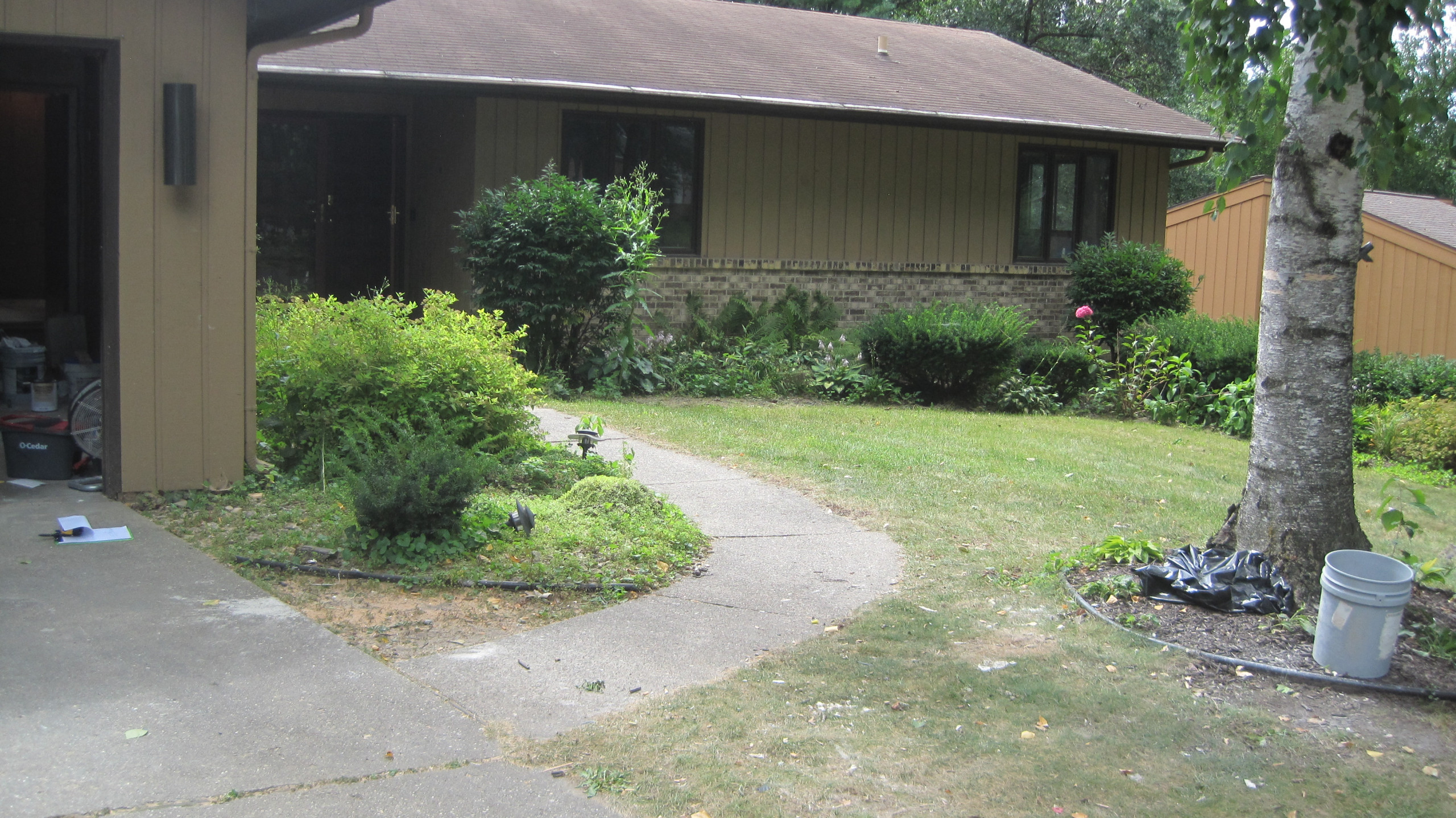 Mid-Century Ranch Front Yard Landscape - Madison, WI