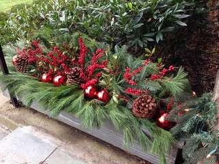 Last-Minute Ideas for Stylish Winter Container Designs (9 photos)