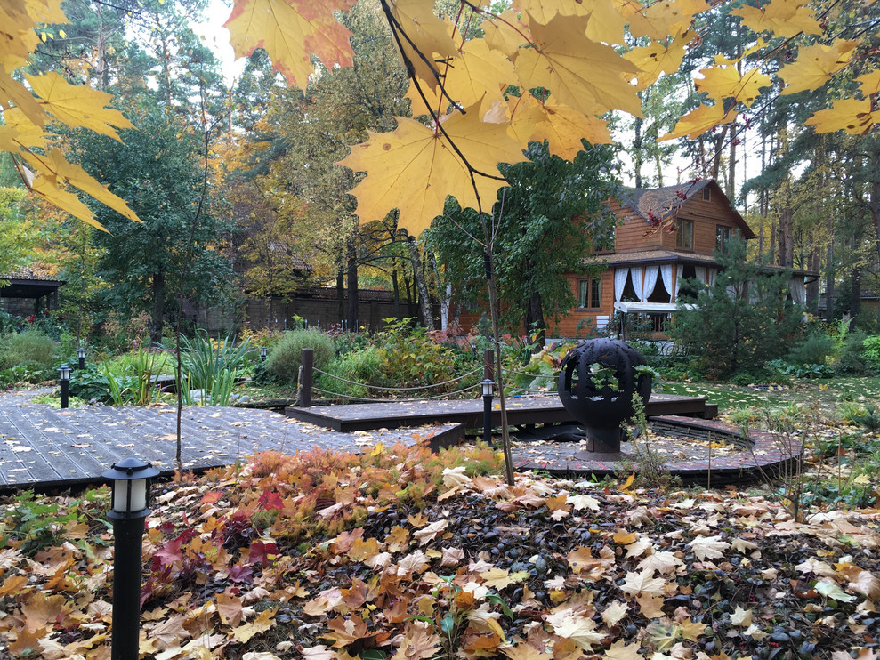 Белкин сад. Осень 2019