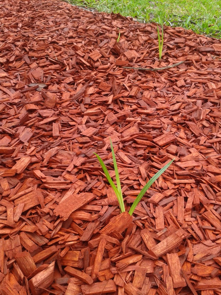Help with this Grass weed grow through mulch