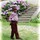 sandrillon_dongo