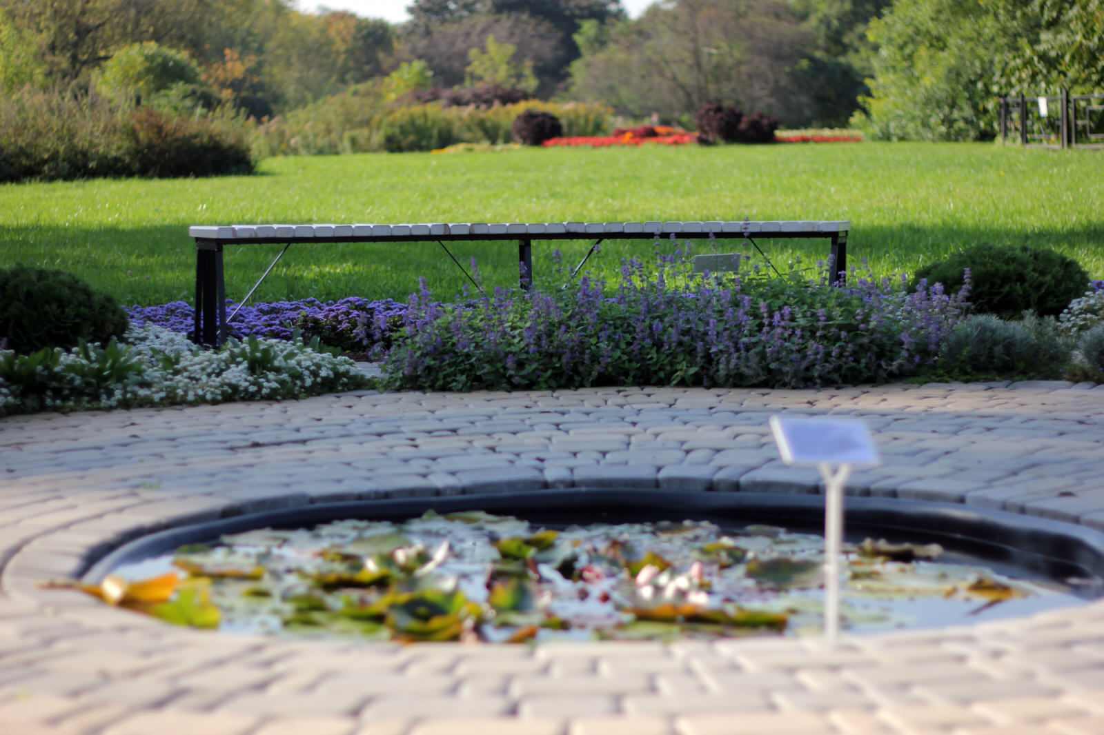 Ландшафт. Цветник в ГБС Москвы (по заказу ландшафтной компании «Формула Сада»)