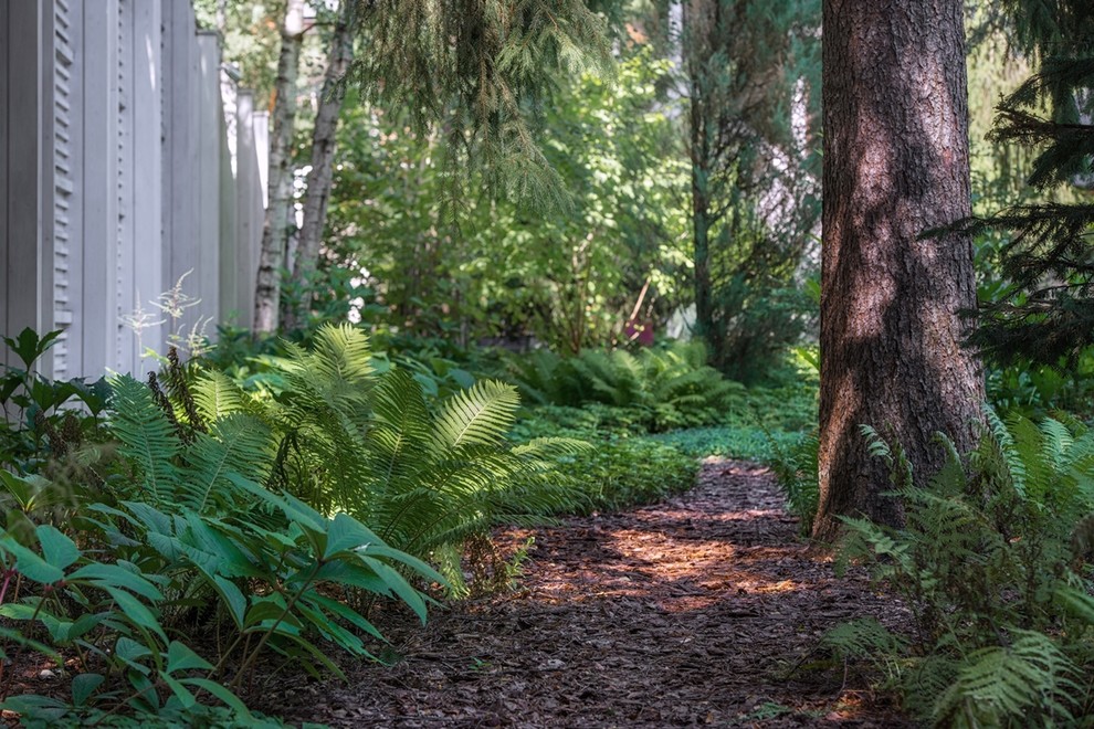 Лесная Рапсодия