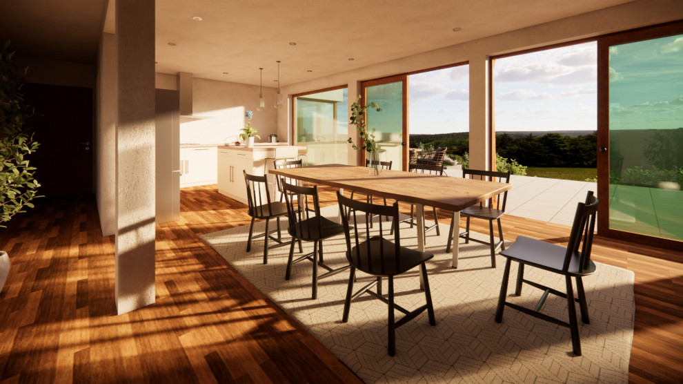 Jen & Vidy renovation and extension in Blarney Cork, recently granted planning
