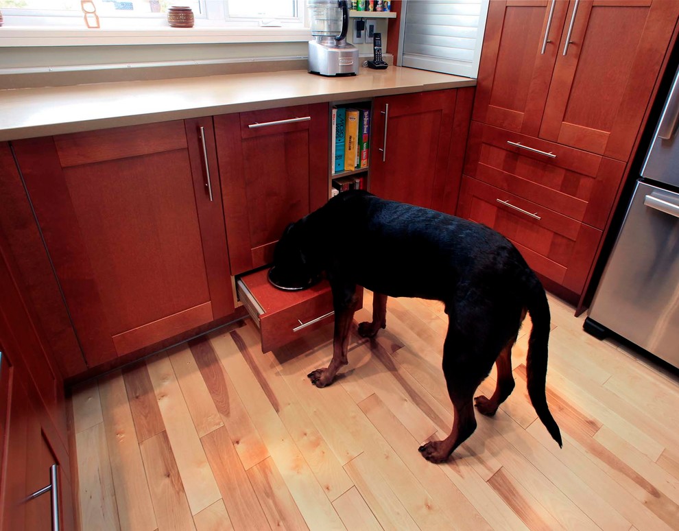 Dog Bowl Built-into Cabinets - Contemporary - Kitchen - Montreal - by Les Projets AC Projects