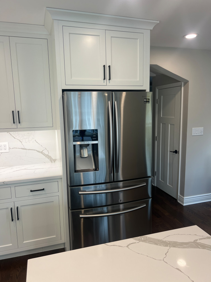 Chicago Kitchen/Dining Renovation