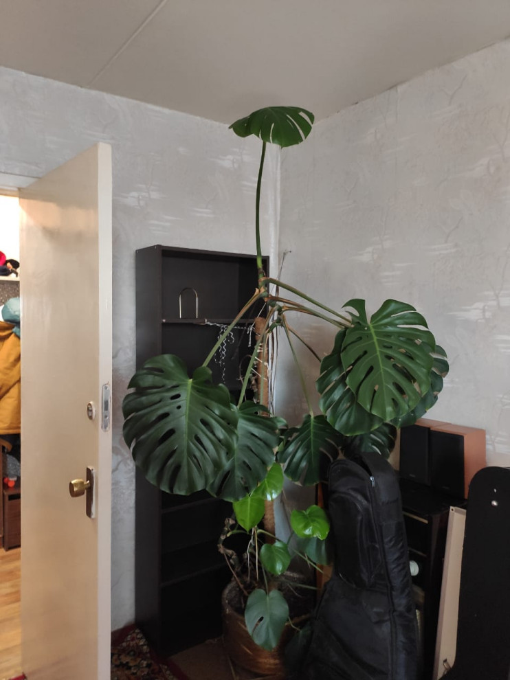 BE_Некрасова