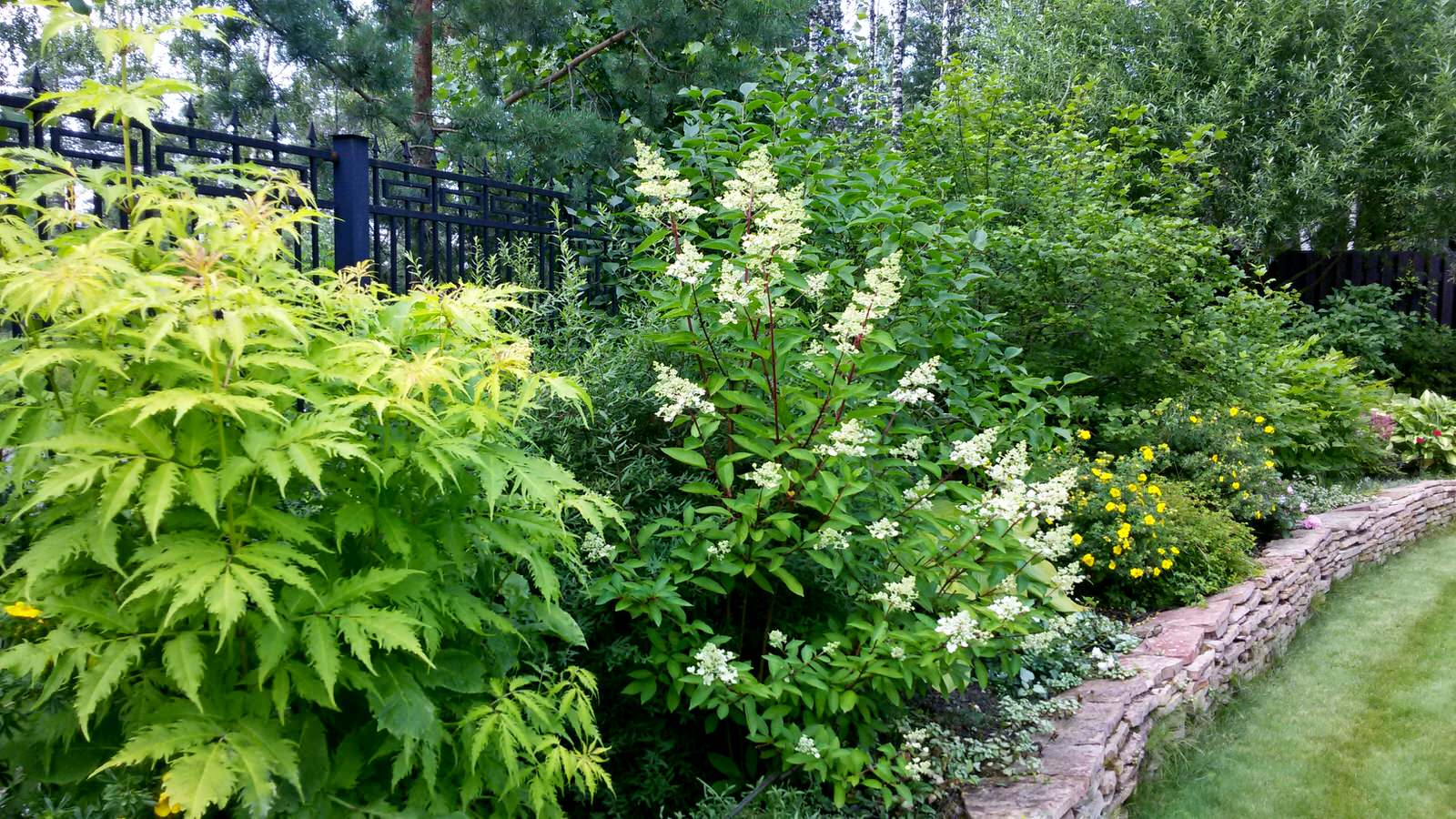 Подпорная стенка вдоль границы участка