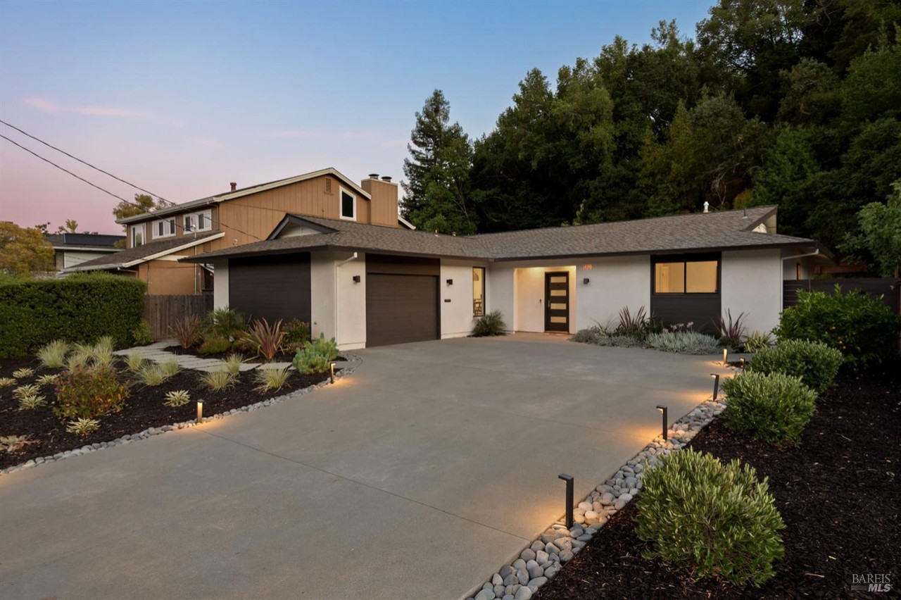 Contemporary Luxe Backyard