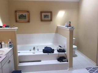 Pretty and Practical Bath/ Shower