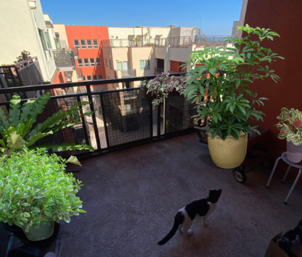 Small Patios