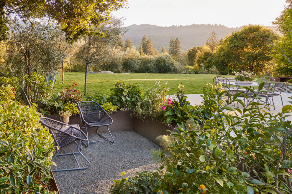 Photo of a mid-sized modern backyard gravel landscaping in San Francisco.