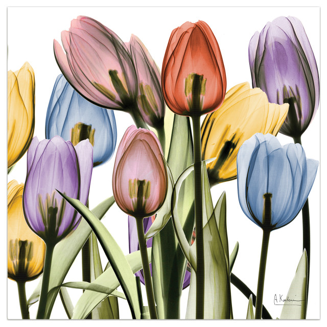 9x12 Digital Print Tulip Flower Painting Flowers Wall Art Home Decor Vintage Poster Decor
