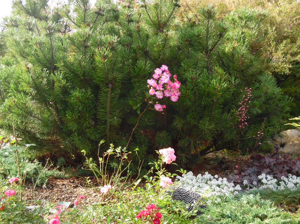 Маленький камерный сад.