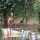 Paz Pacheco Paisajismo