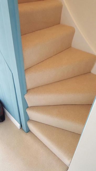 This is an example of a mid-sized transitional carpeted l-shaped staircase in London with carpet risers.