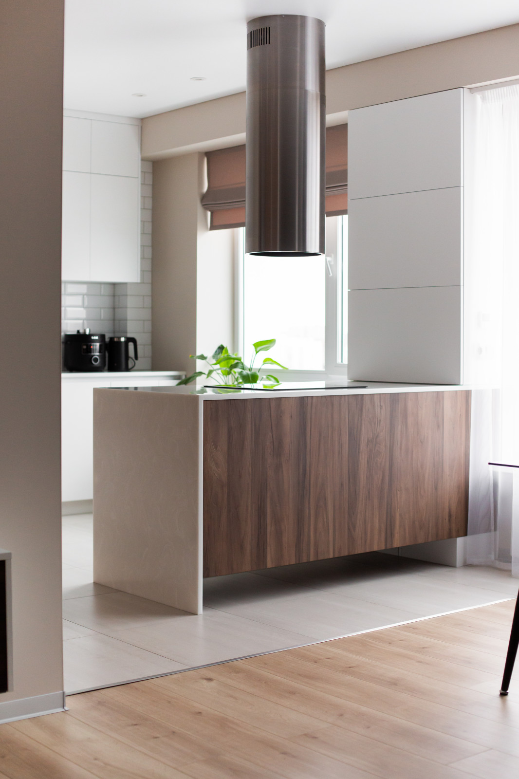 Проект светлое будущее