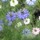 webuser_19217