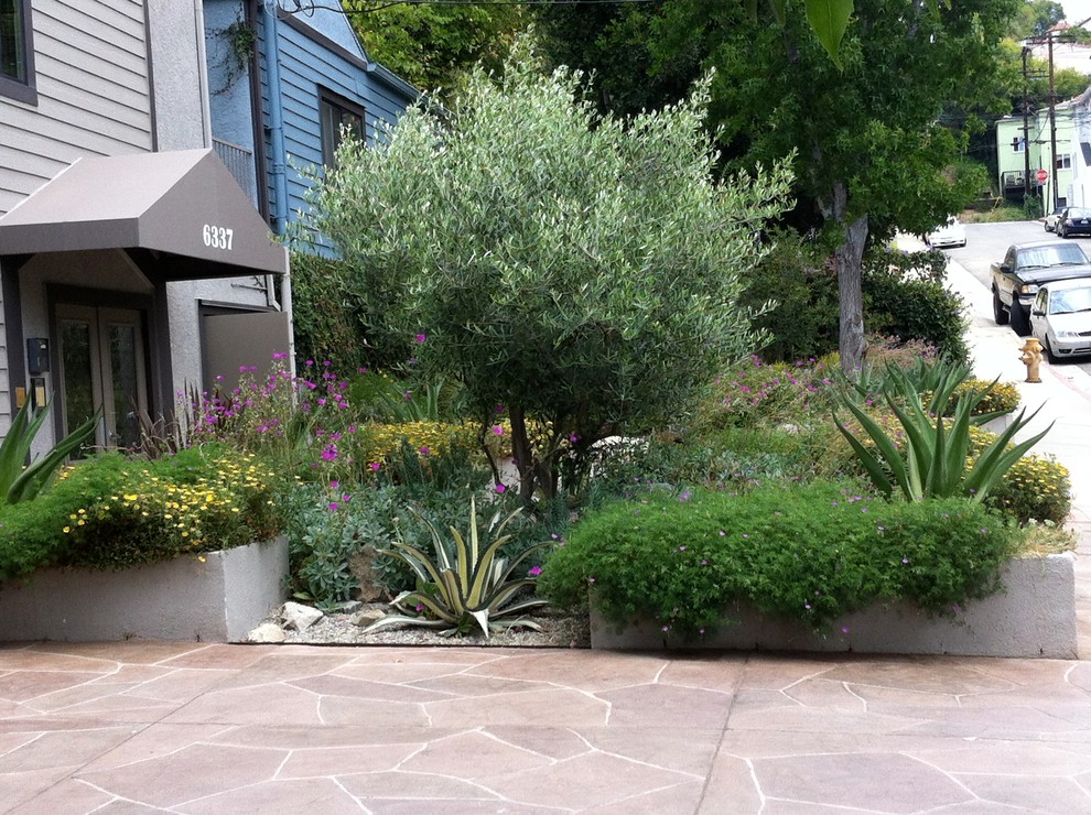 Design ideas for a large tropical backyard partial sun xeriscape in Los Angeles with gravel.