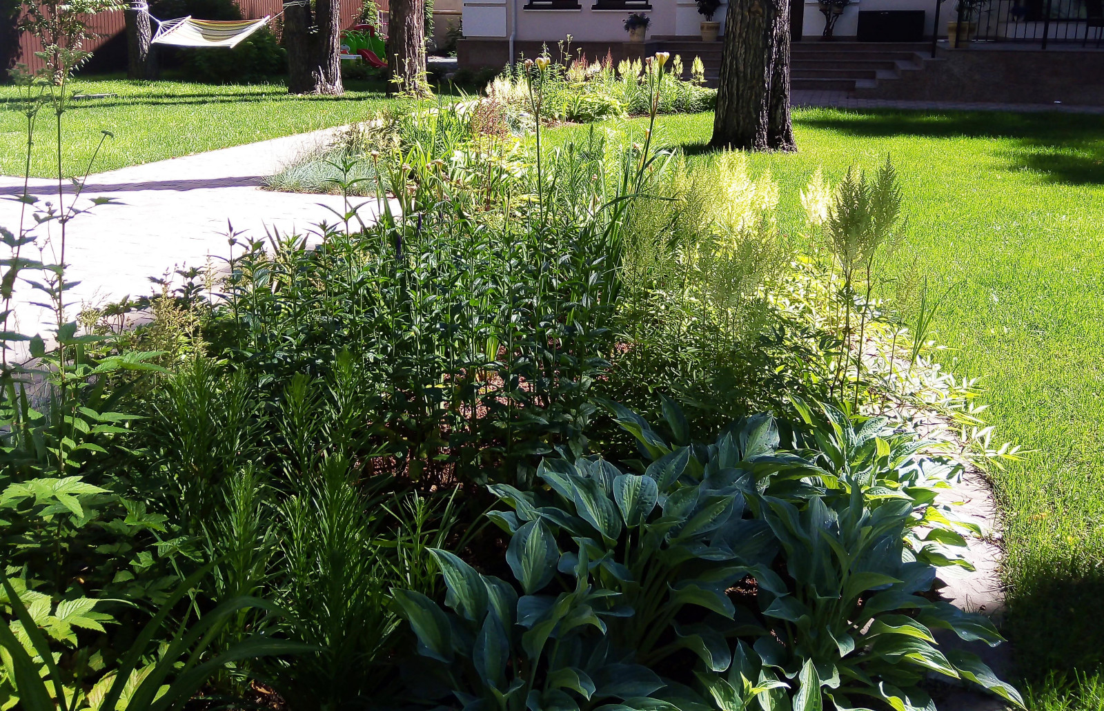 Цветники под пологом леса