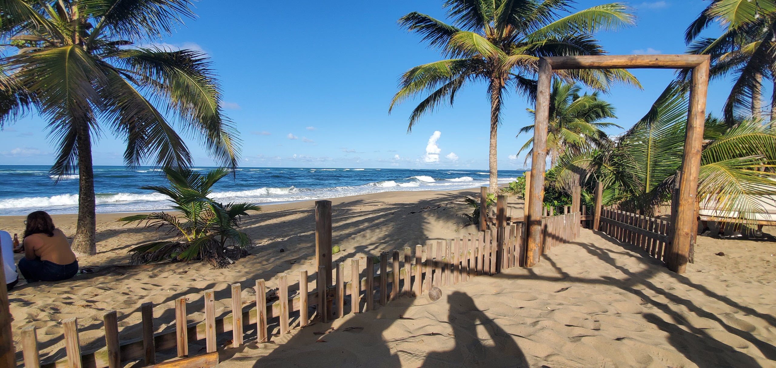 Beach fence