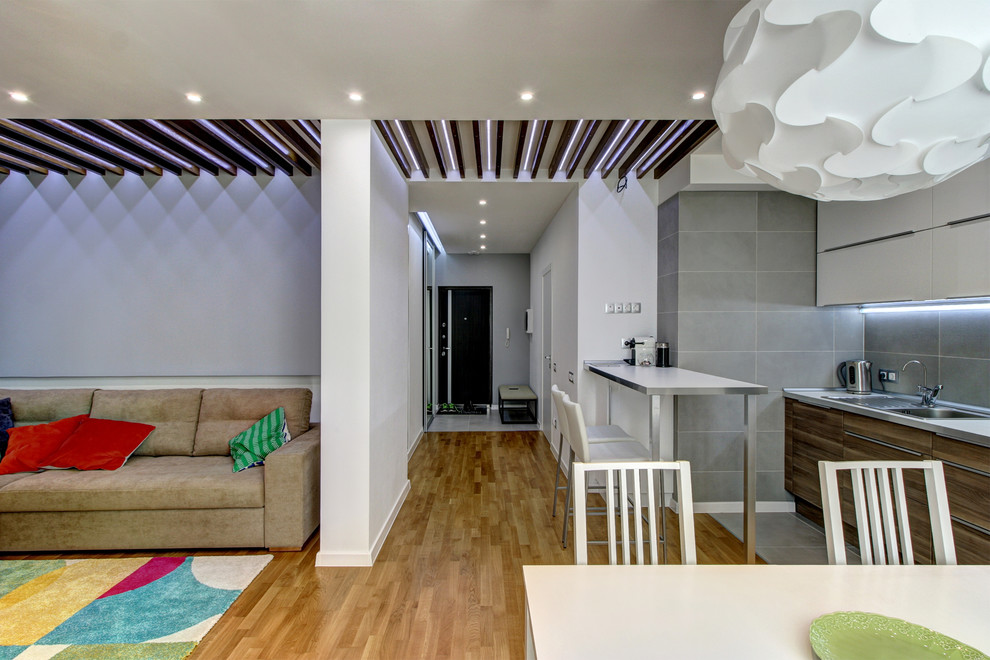 Гостиная-кухня-прихожая