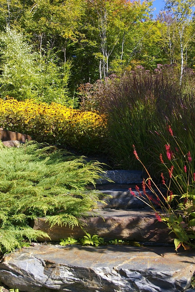 This is an example of an expansive contemporary side yard garden in Burlington.