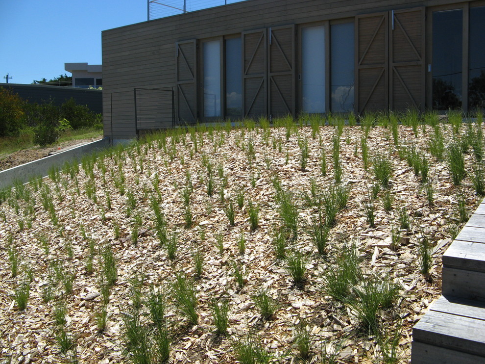 Inspiration for a mid-sized contemporary sloped full sun xeriscape for spring in Canberra - Queanbeyan with mulch.